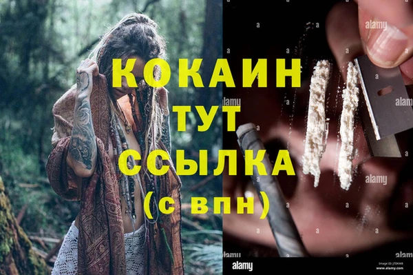 прущие крисы Белокуриха