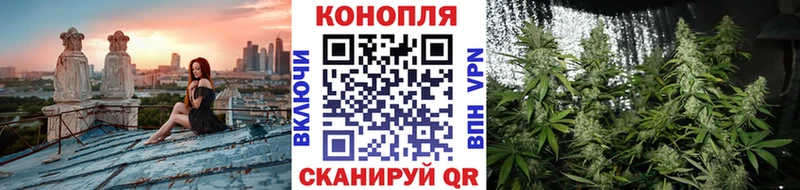 Бошки Шишки THC 21%  ссылка на мегу ССЫЛКА  Калининград  где продают  